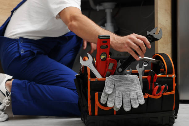 Best Emergency Plumber  in Lake Wynonah, PA