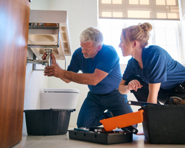 Best Clogged Drain Plumber  in Lake Wynonah, PA